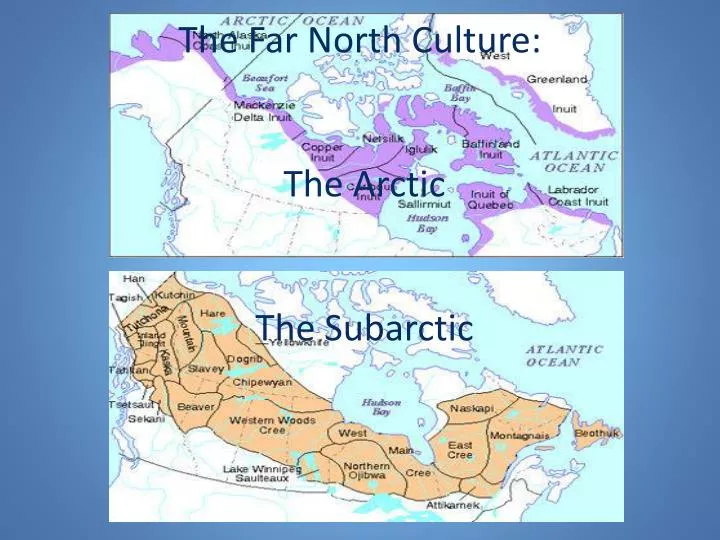 the far north culture the arctic the subarctic