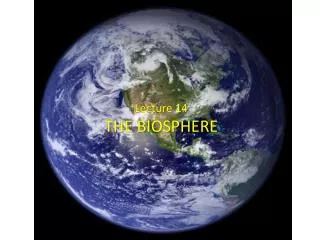 Lecture 14 THE BIOSPHERE