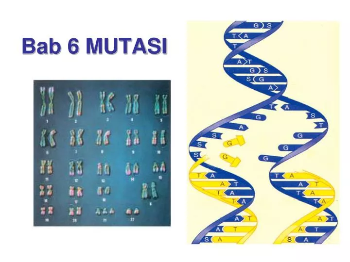 bab 6 mutasi
