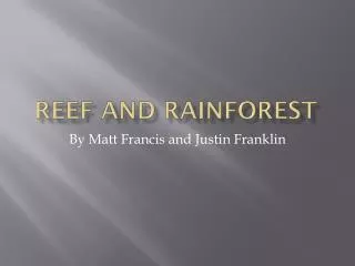 Reef And Rainforest