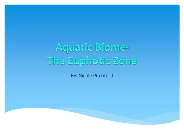 aquatic biome the euphotic zone