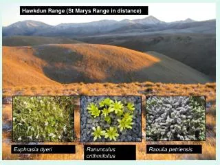 Hawkdun Range (St Marys Range in distance)