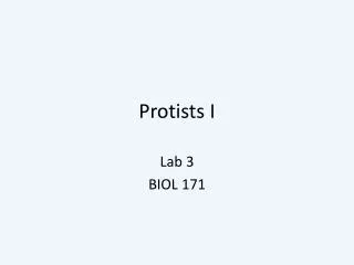 Protists I