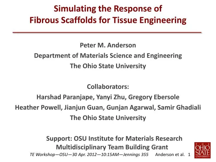 simulating the response of fibrous scaffolds for tissue engineering