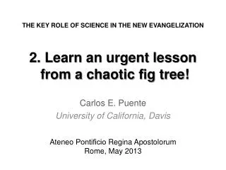 2. Learn an urgent lesson from a chaotic ? g tree!