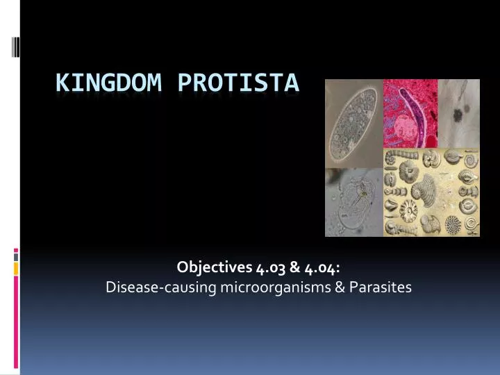 objectives 4 03 4 04 disease causing microorganisms parasites