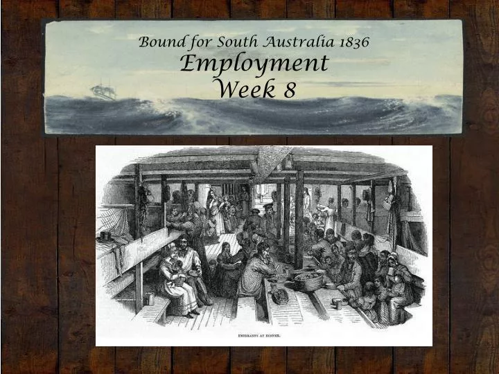 bound for south australia 1836 employment week 8