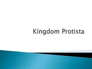 kingdom protista