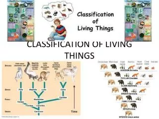 CLASSIFICATION OF LIVING THINGS