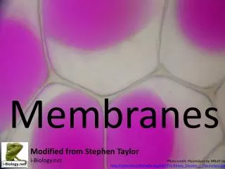 Membranes