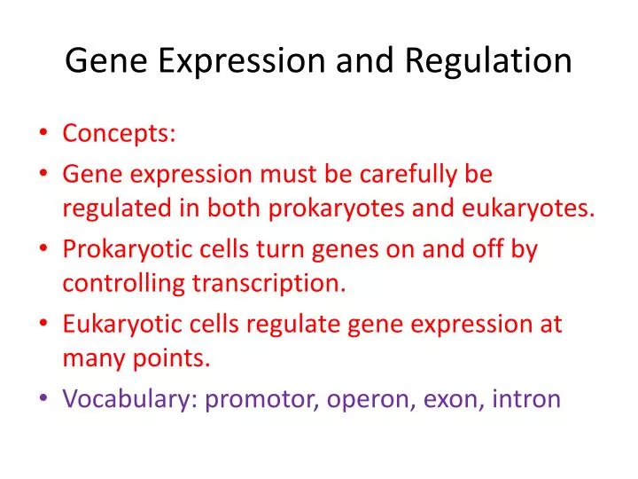 gene expression and regulation