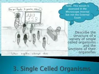 3. Single Celled Organisms