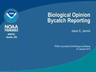 Biological Opinion Bycatch Reporting