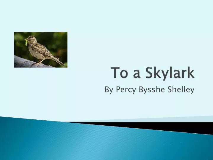 to a skylark