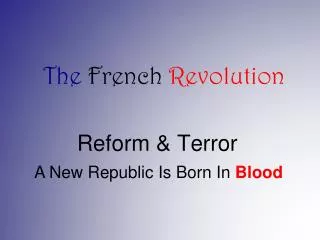reform terror