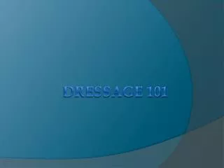 Dressage 101