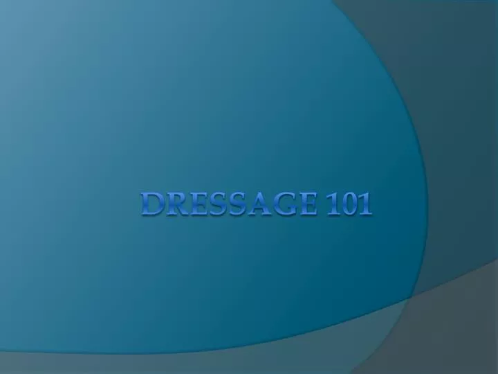 dressage 101