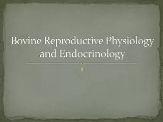 Bovine Reproductive Physiology and Endocrinology