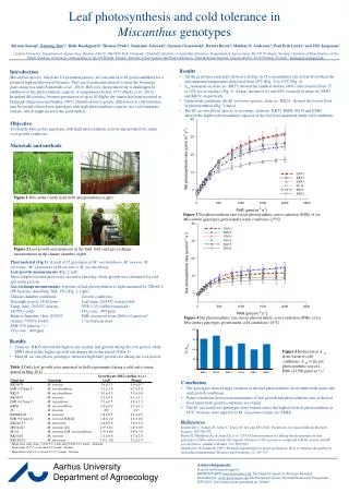 Leaf photosynthesis and cold tolerance in Miscanthus genotypes