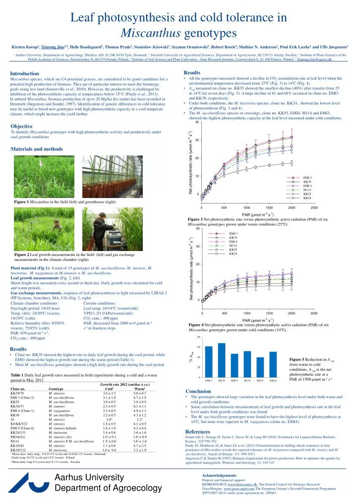 leaf photosynthesis and cold tolerance in miscanthus genotypes