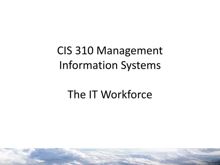 cis 310 management information systems the it workforce