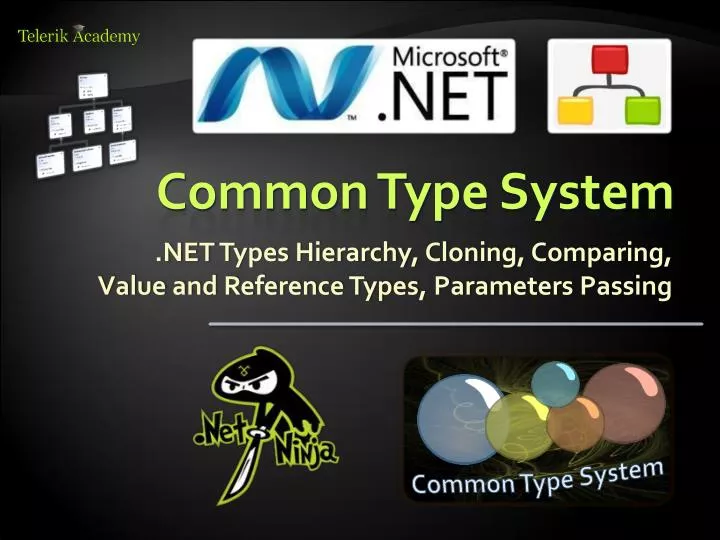 common type system