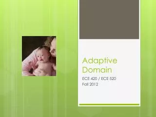 Adaptive Domain