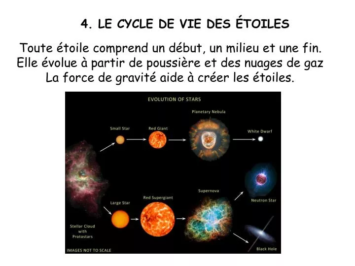 4 le cycle de vie des toiles