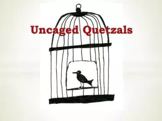 Uncaged Quetzals
