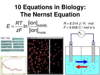 10 Equations in Biology: The Nernst Equation