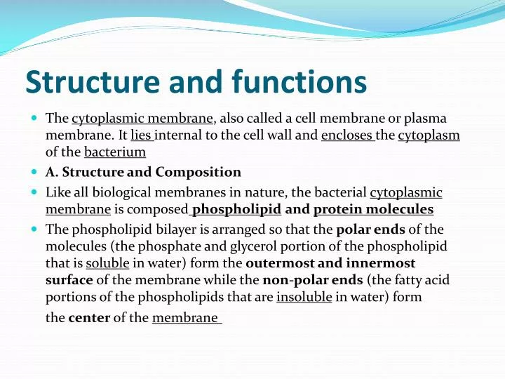 structure and functions