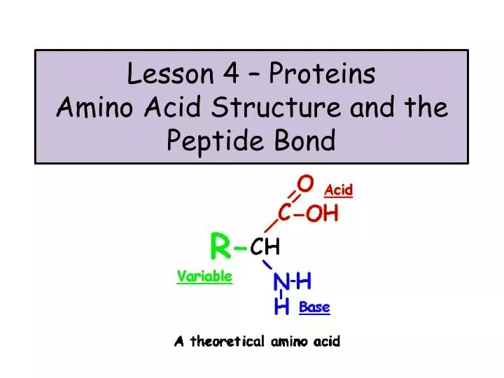 lesson 4 proteins amino acid structure and the peptide bond
