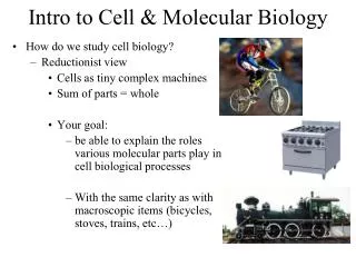 Intro to Cell &amp; Molecular Biology