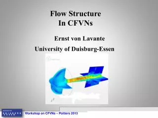 Flow Structure In CFVNs