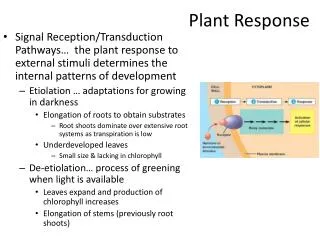 Plant Response