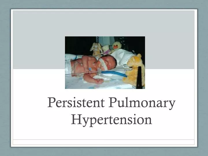 persistent pulmonary hypertension
