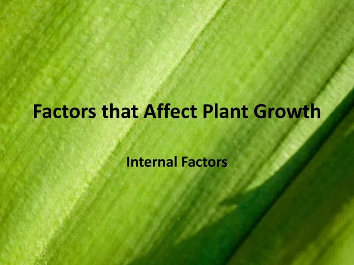 factors that affect plant growth