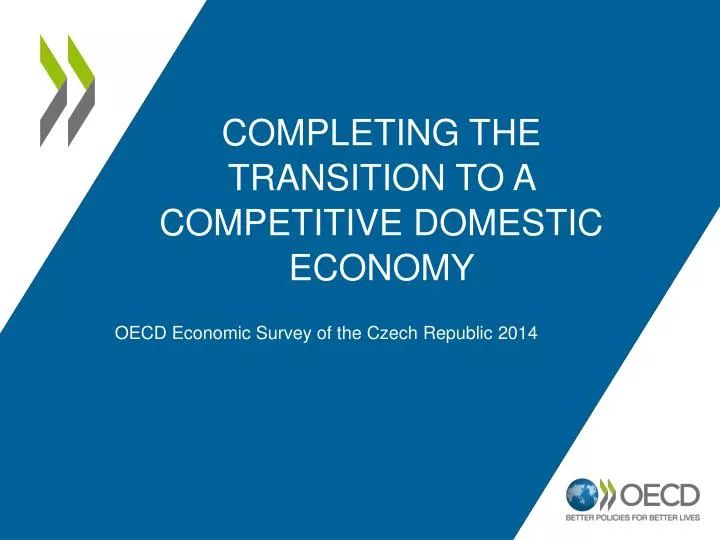 completing the transition to a competitive domestic economy