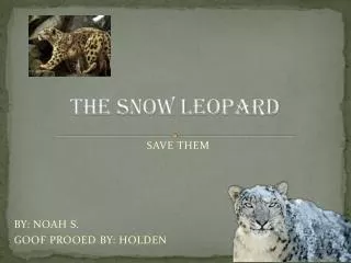 THE SNOW LEOPARD