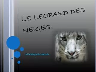 le leopard des neiges