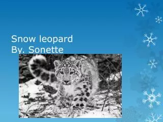 Snow leopard By. Sonette