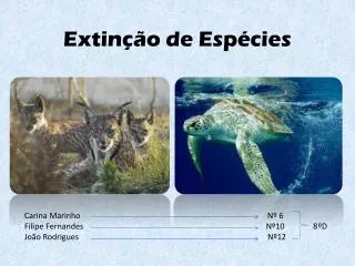extin o de esp cies