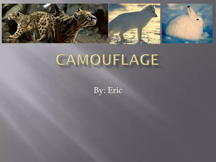 camouflage