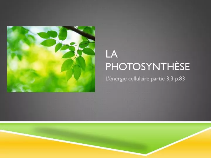 la photosynth se