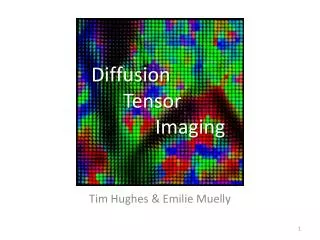 Diffusion 	Tensor 		Imaging