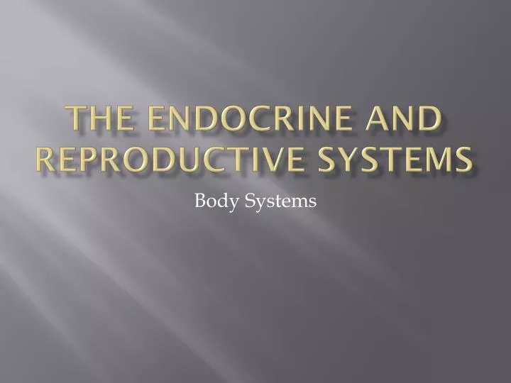 the endocrine and reproductive systems