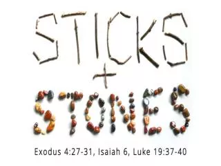 Exodus 3:13-14 hcsb