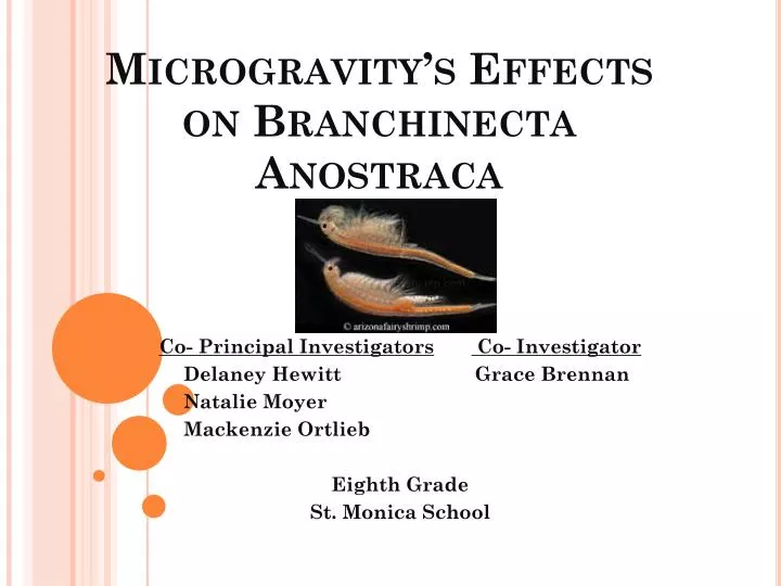 microgravity s effects on branchinecta anostraca
