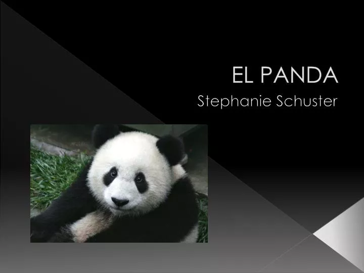 el panda