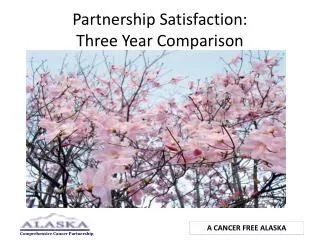 Partnership Satisfaction: Three Year Comparison